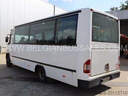 Mercedes Vario/Joost 813D