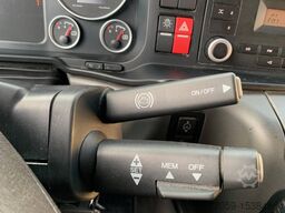 MAN TGM 15.250 4x2 BL + LADEBORDWAND