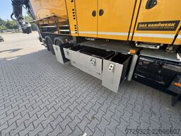 MTS Dino 8