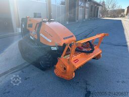 Bergmann Mähraupe M 201 mit Zubehör