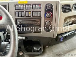 Renault Lander 380 6x2/Fassi F290A 24 Funk/Eu5/Liftachs...