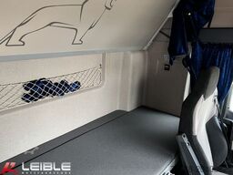 MAN TGX 18.500 BLS XLX*nur 333km*Hella Skylight*