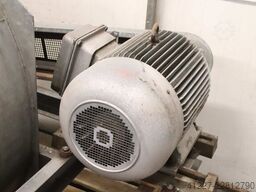 Rippert HL8-560-A