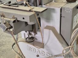 P. BACCI TSG 2T