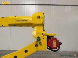 FANUC M-10iA