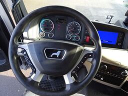 MAN 26.460 TGS*kpl Zug Schwenkwand*2x LBW*NLA*38 Pal