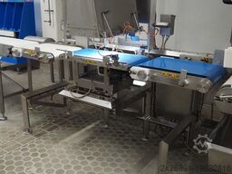 Mettler Toledo C 2351