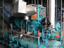 York Frick 