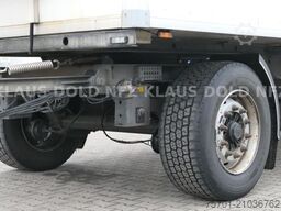  Geser TKA 18 Kühlkoffer Carrier Vector LBW