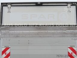  Geser TKA 18 Kühlkoffer Carrier Vector LBW