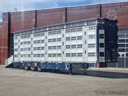Pezzaioli + Daf XF - 3/4 deck livestock - 134.8m2 - Water...