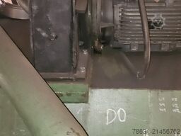 STEM PAP