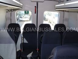 Iveco Daily Line New / 4 X UNITS / 65C18H8 4100L / Ai...
