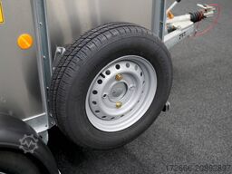 Ifor Williams TA5 | 8x6 | DOPPELSTOCK 241X156X183CM VIEHANHÄNGER | 2X LÜFTUNG