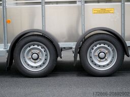 Ifor Williams TA5 HD | 12x6 | RAMPE-/TÜR-KOMBI 372X156X183CM VIEHANHÄNGER | 2X LÜFTUNG