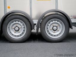 Ifor Williams TA510 | 10x6 | RAMPE-/TÜR-KOMBI 311X178X183CM VIEHANHÄNGER | 2X LÜFTUNG