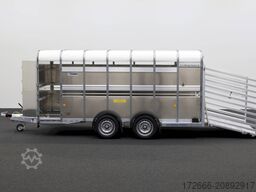 Ifor Williams TA510 | 14x6 | RAMPE-/TÜR-KOMBI 434X178X183CM VIEHANHÄNGER | 2X LÜFTUNG
