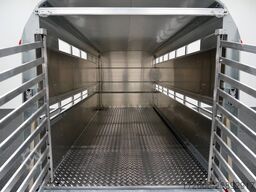 Ifor Williams TA510 | 14x6 | RAMPE-/TÜR-KOMBI 434X178X183CM VIEHANHÄNGER | 2X LÜFTUNG