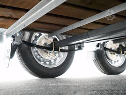 Ifor Williams TA510 | 14x7 | RAMPE-/TÜR-KOMBI 434X178X214CM VIEHANHÄNGER | 2X LÜFTUNG