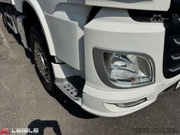 DAF XF 480*Palfinger Kran*komplett Zug+Schwarzmüller