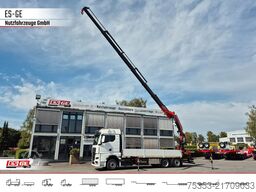 MAN TGX 26.480 6x2-4 LL CH mit Fassi F545RA.2.26