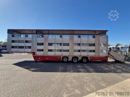 Zorzi 38S13619 Irma 2 deck livestock - Water & Ventil...