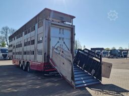 Zorzi 38S13619 Irma 2 deck livestock - Water & Ventil...