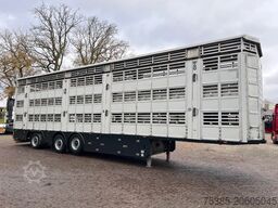 Pezzaioli 1/2/3 Livestock Type2 ultra light