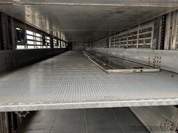 Pezzaioli 1/2/3 Livestock Type2 ultra light