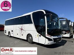 MAN R 07 Lions Coach