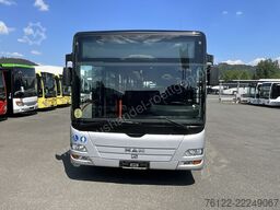 MAN A 26 Lions City LL