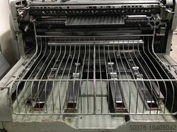 Nebiolo Saturnia 65x95 cm