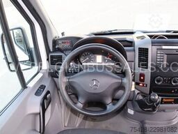 Mercedes-Benz Sprinter 516 CDi / Transfer 45 / Retarder / Air...