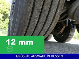 CARNEHL Alukasten Mulde 38m³ Leer 5,5to. ¤e