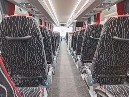 VAN HOOL EX16 Low | 61+1+1 Sitze, Klima, WC, Video