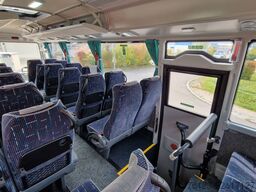 TEMSA 8 units Prestij SX,Novo Lux, Daily, Atego