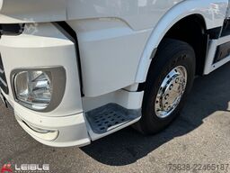 DAF XF 480*Palfinger Kran*Lift/Lenkachse*394 TKM*