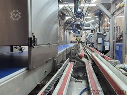 Pro-Inżynier Case Packer