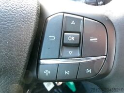 FORD Transit 350L4 Trend DoKa Pritsche Kam AHK Stndhz