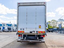 RENAULT MIDLUM 270 DXI + DHOLLANDIA 2T.