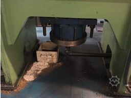 Rhodes 60
