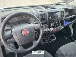 Palali Trading Palali Trading Palali Trading