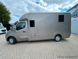 RENAULT Master STX 5 Sitzer  Haras / Hengste