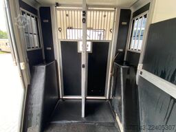 RENAULT Master STX 5 Sitzer  Haras / Hengste