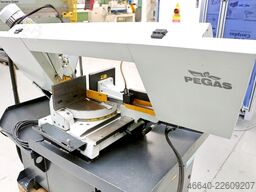 PEGAS 300 x 320 SHI-LR