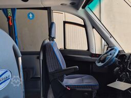 IVECO Daily C 70 City Niederflur 34 PAX auch als CNG