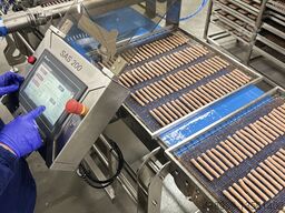 HydroShpriz SAS200 module to Handtmann,REX