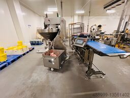 HydroShpriz SAS200 module to Handtmann,REX