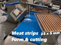 HydroShpriz SAS200 module to Handtmann,REX