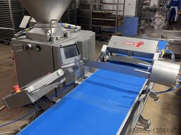 HydroShpriz SAS200 module to Handtmann,REX